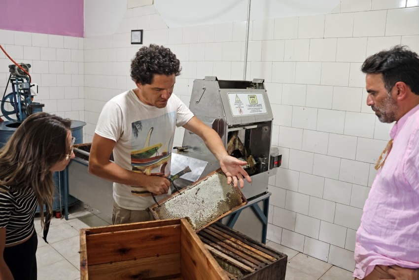 Alianza estrat�gica: La bodega Gamboa apuesta por el 