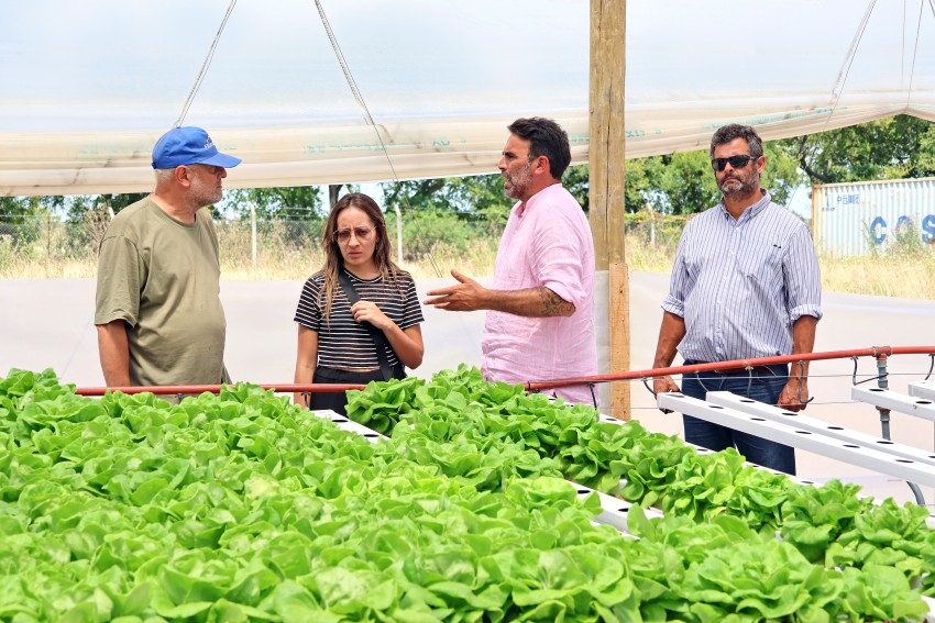 Alianza estrat�gica: La bodega Gamboa apuesta por el 