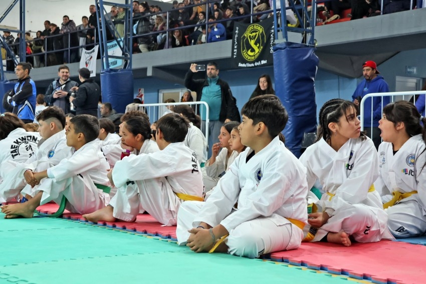 El Polideportivo Municipal vibr� con el Torneo de Taekwondo 