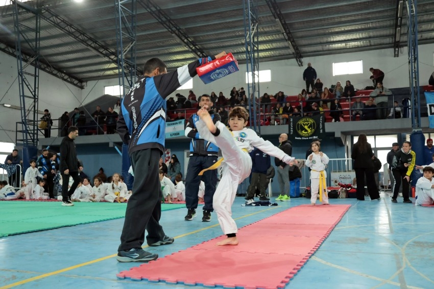 El Polideportivo Municipal vibr� con el Torneo de Taekwondo 