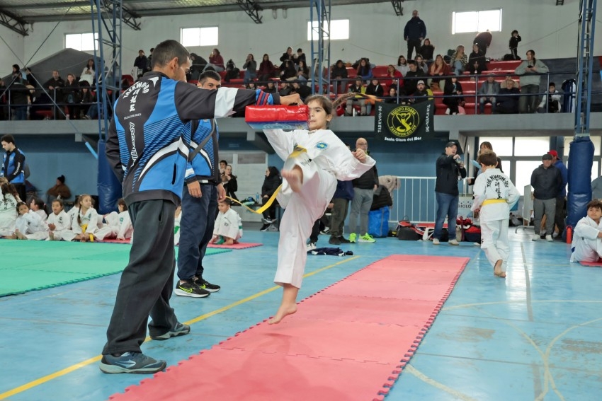 El Polideportivo Municipal vibr� con el Torneo de Taekwondo 