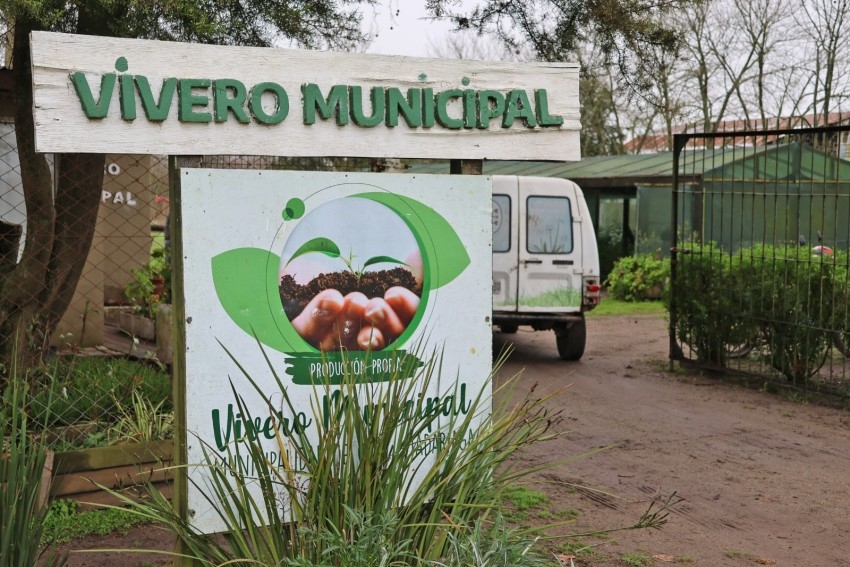 Campa�a de forestaci�n. El Municipio entregar� gratuitamente �lamos y 