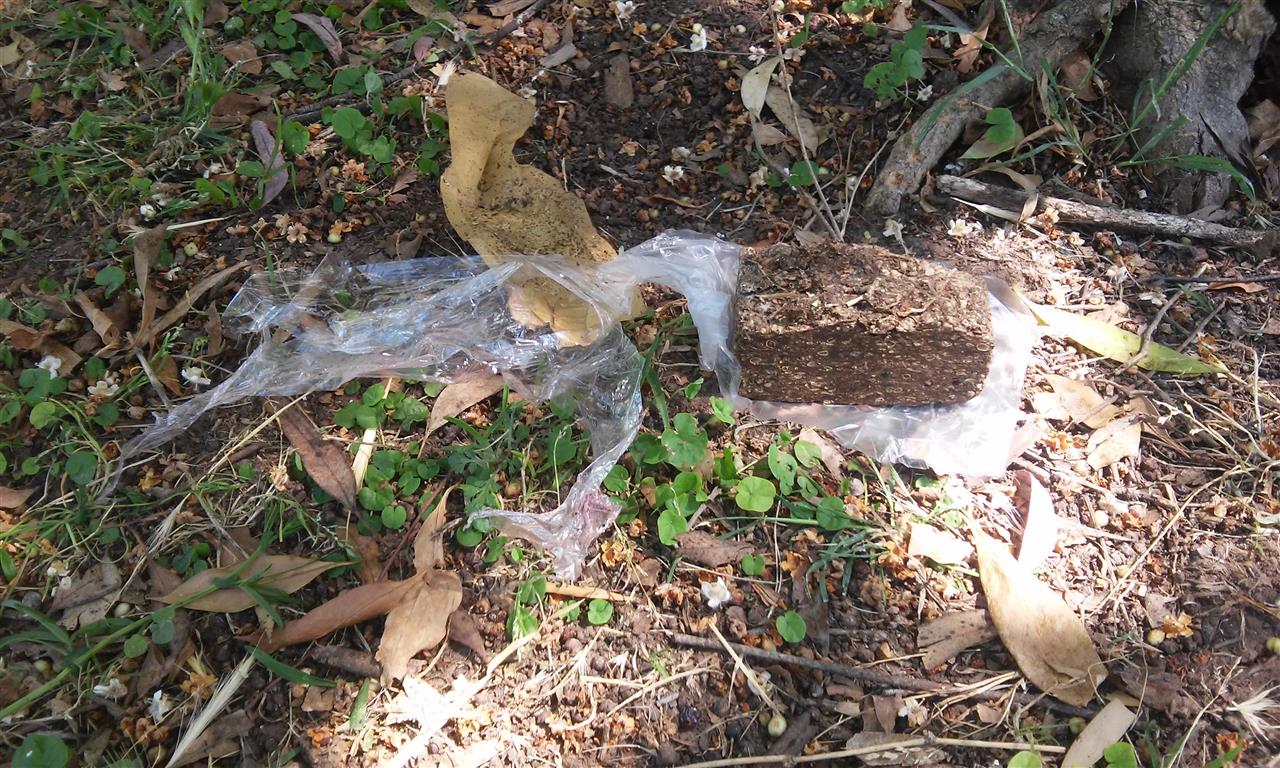 Detención por incautación de droga