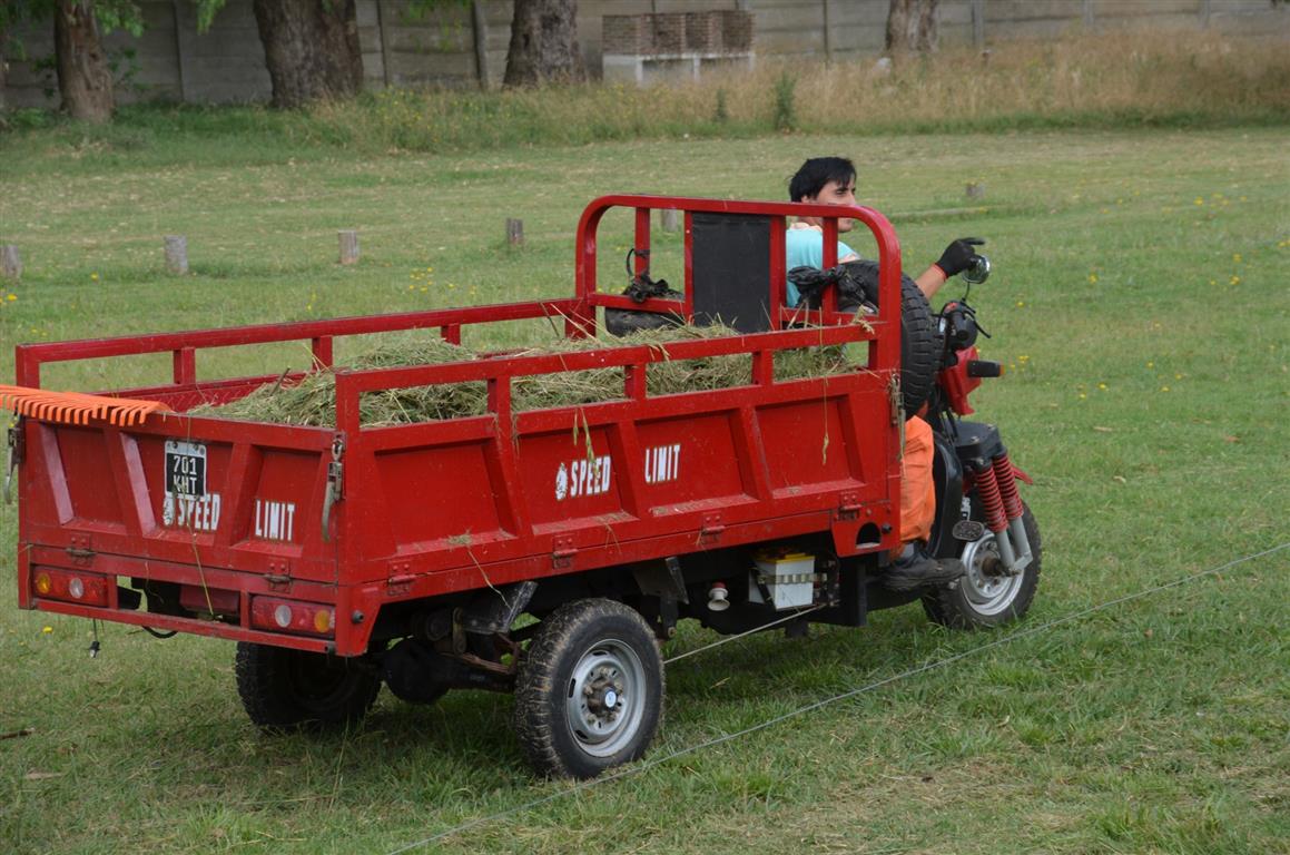 Trabajos en el predio del Club Deportivo el Len