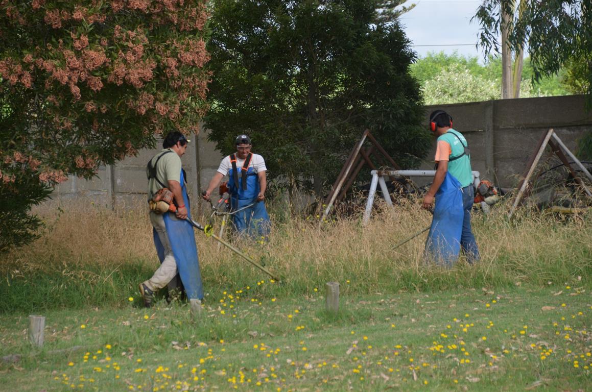 Trabajos en el predio del Club Deportivo el Len