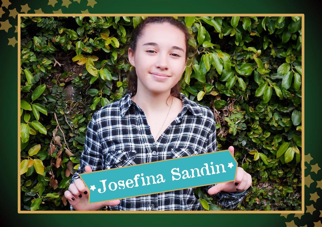 Fin de semana cultural en el Anfiteatro