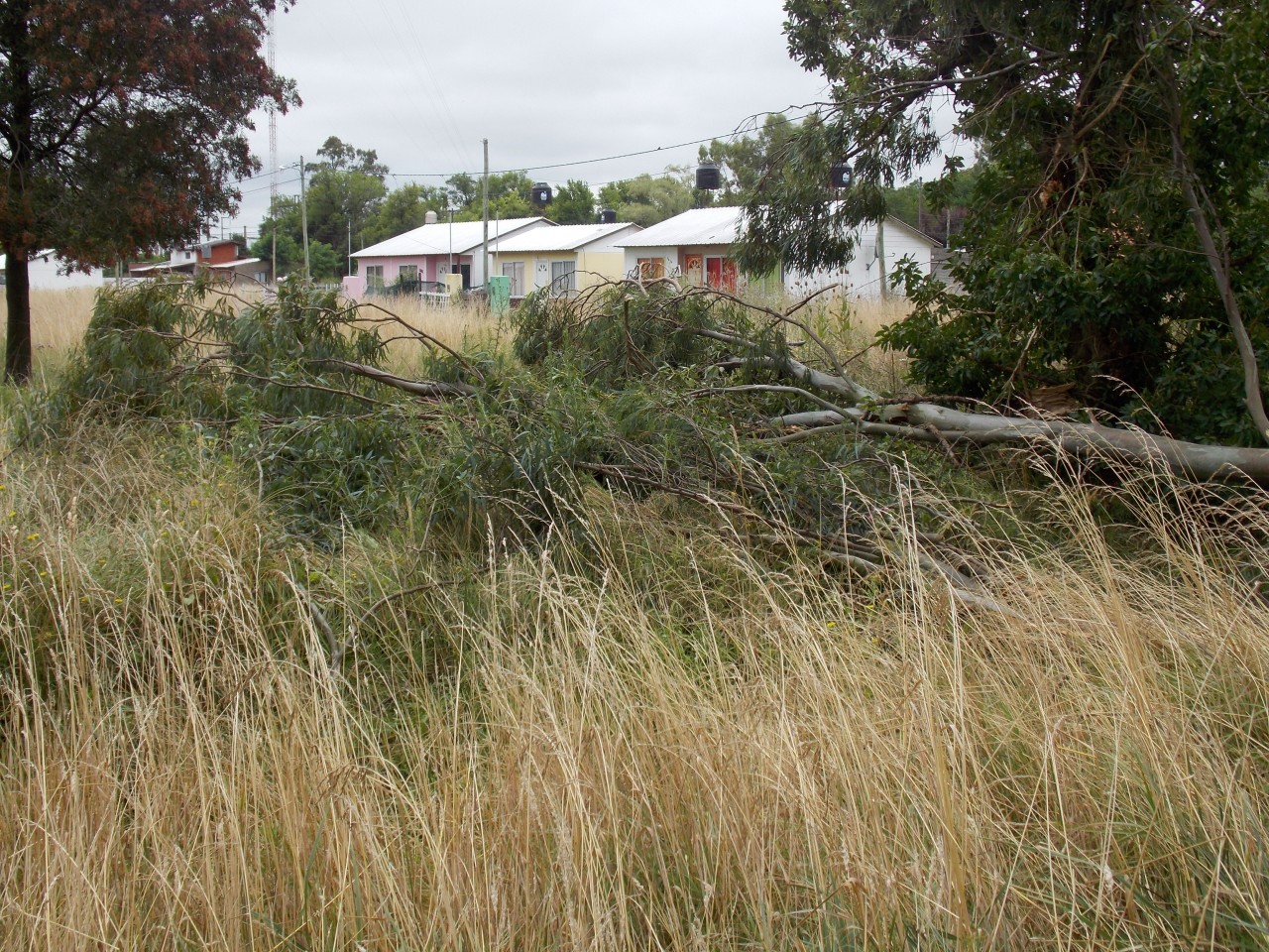 Intenso trabajo de municipales para limpiar la ciudad tras el temporal