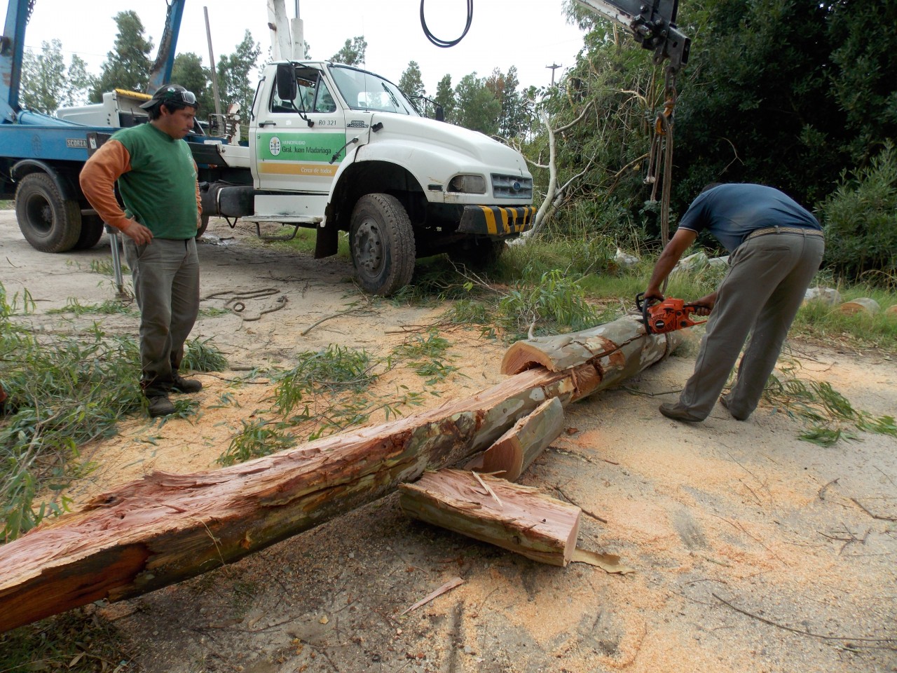 Intenso trabajo de municipales para limpiar la ciudad tras el temporal