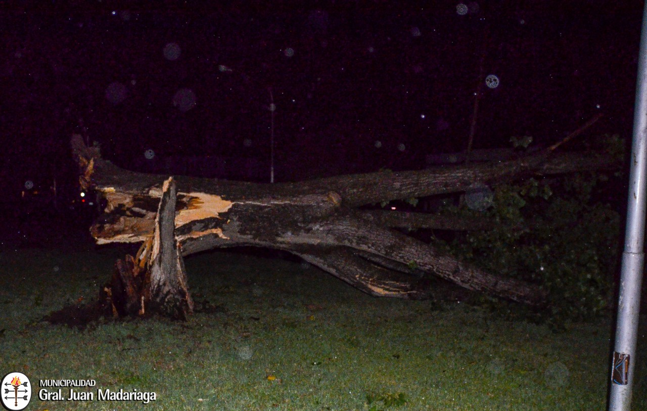 Intenso trabajo de municipales para limpiar la ciudad tras el temporal