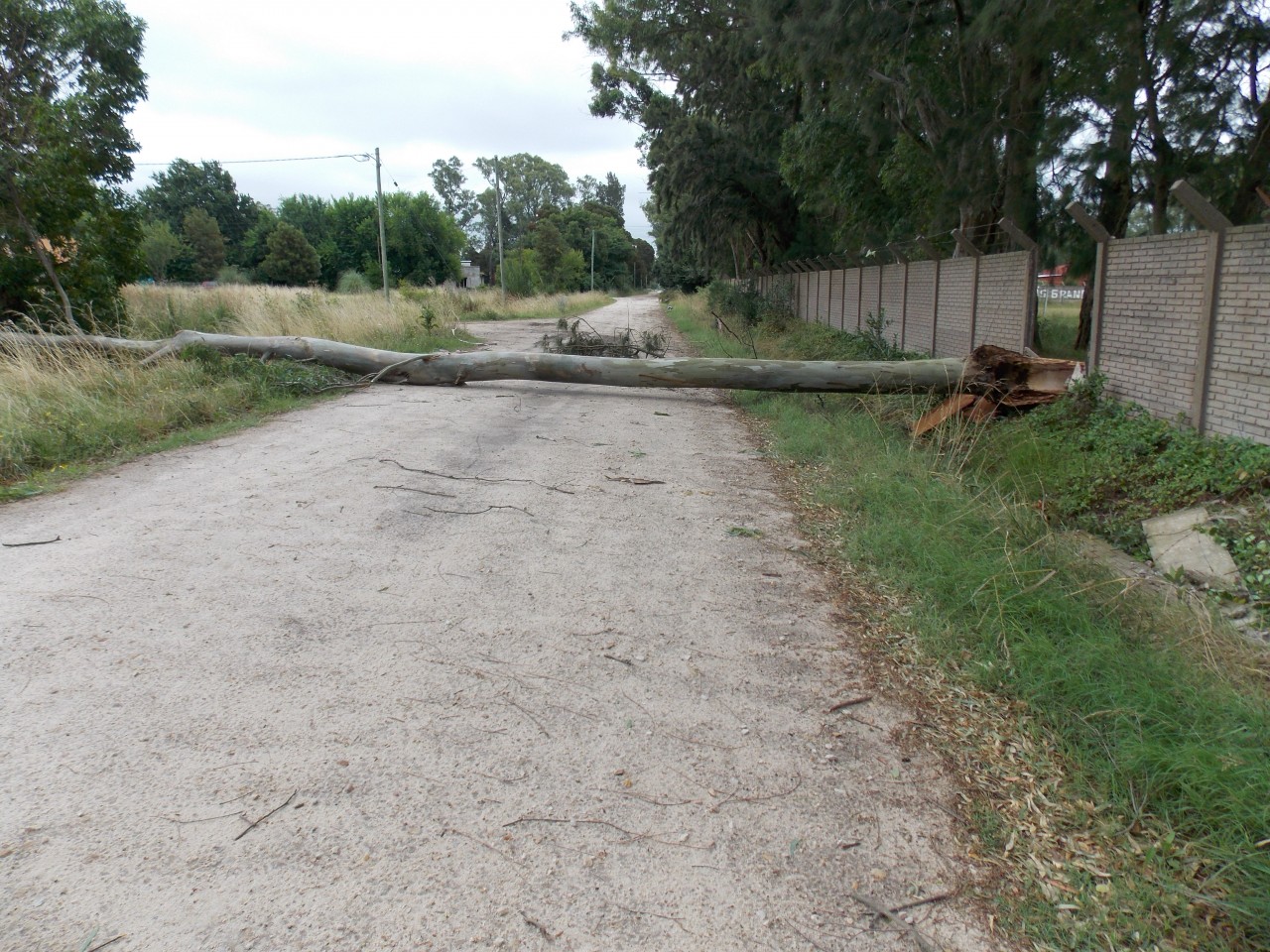 Intenso trabajo de municipales para limpiar la ciudad tras el temporal