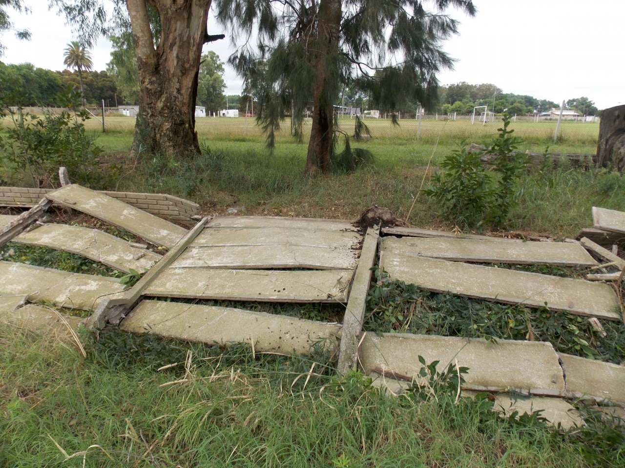 Intenso trabajo de municipales para limpiar la ciudad tras el temporal