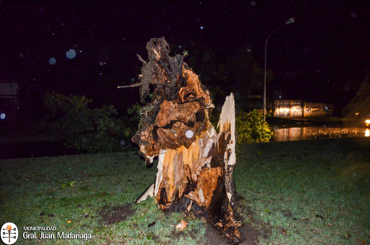 Intenso trabajo de municipales para limpiar la ciudad tras el temporal