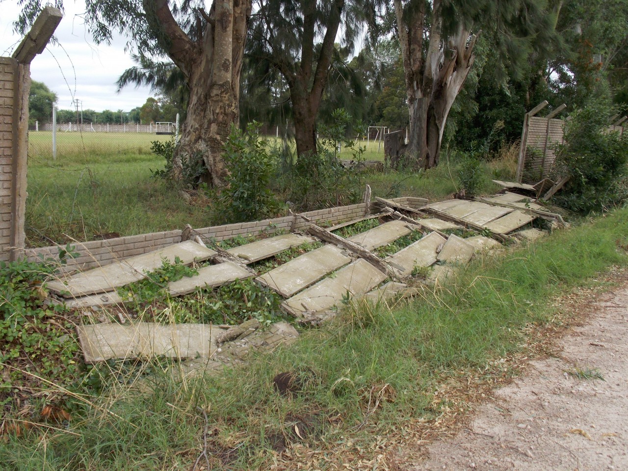 Intenso trabajo de municipales para limpiar la ciudad tras el temporal