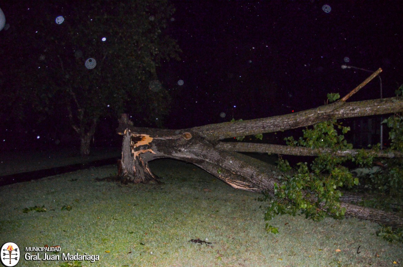 Intenso trabajo de municipales para limpiar la ciudad tras el temporal