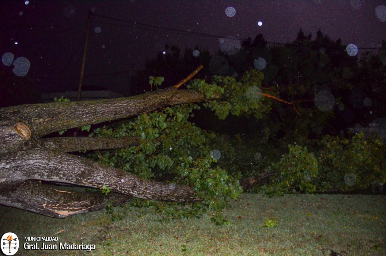 Intenso trabajo de municipales para limpiar la ciudad tras el temporal