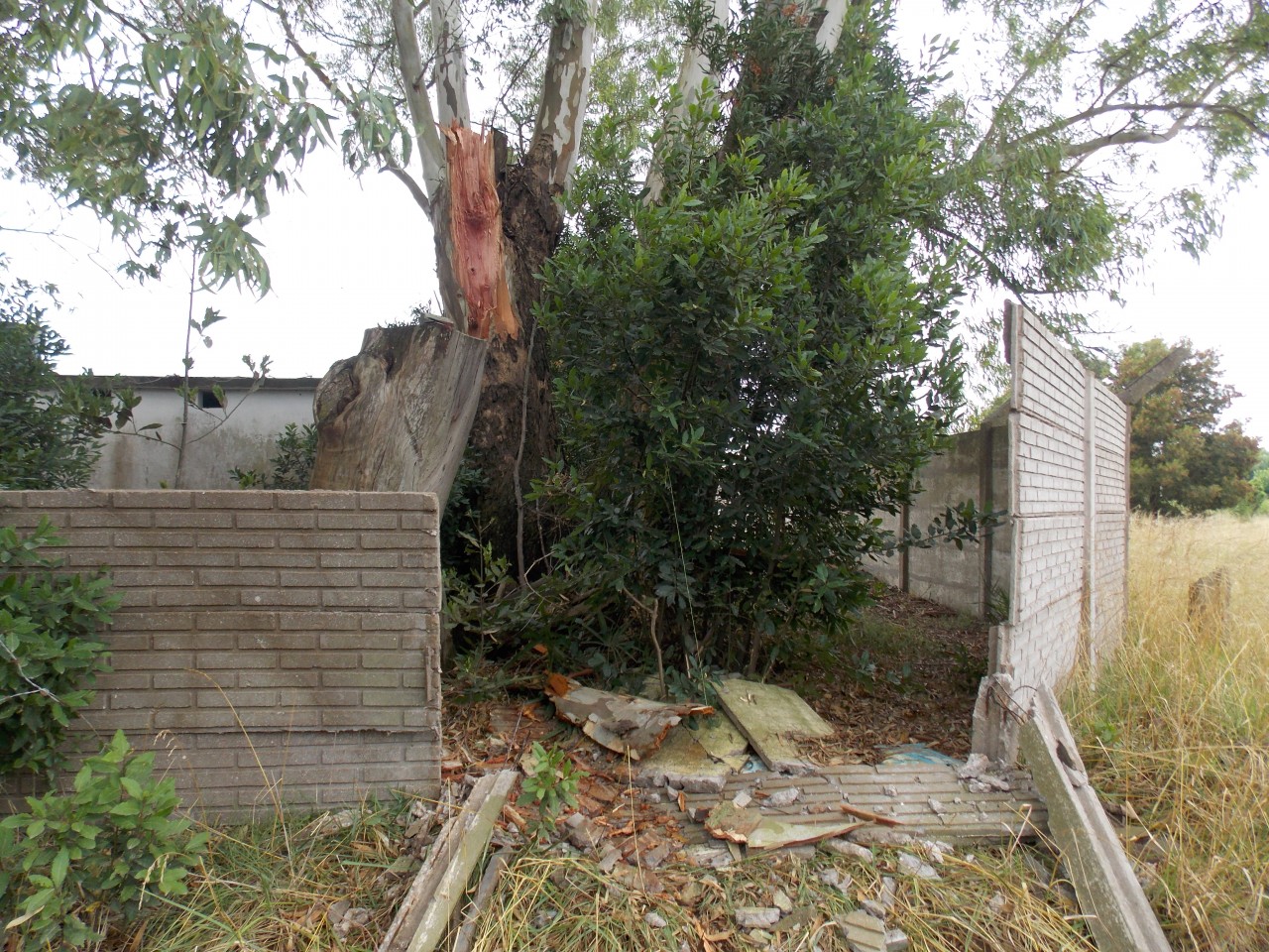 Intenso trabajo de municipales para limpiar la ciudad tras el temporal