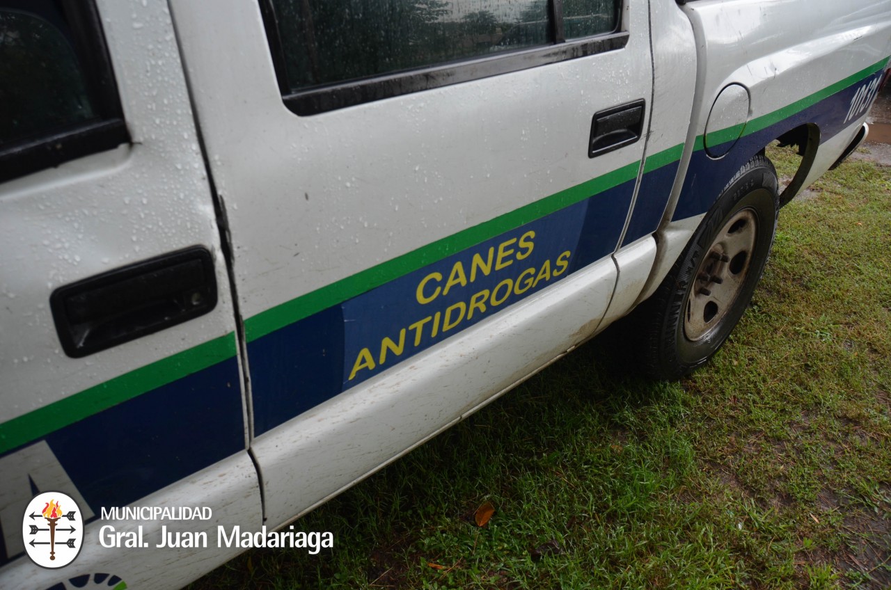 Incautaron marihuana y aprehendieron a una persona