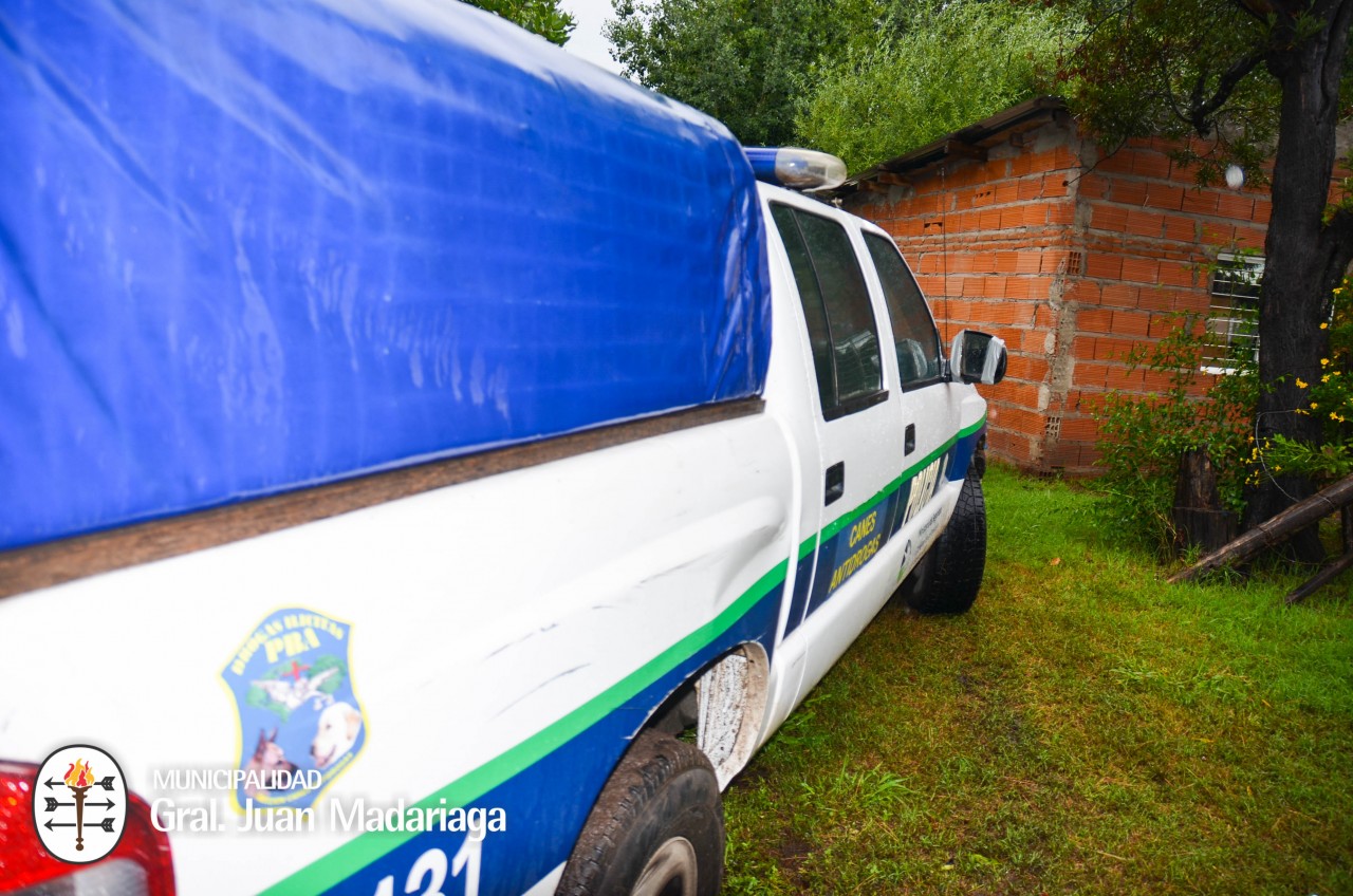 Incautaron marihuana y aprehendieron a una persona