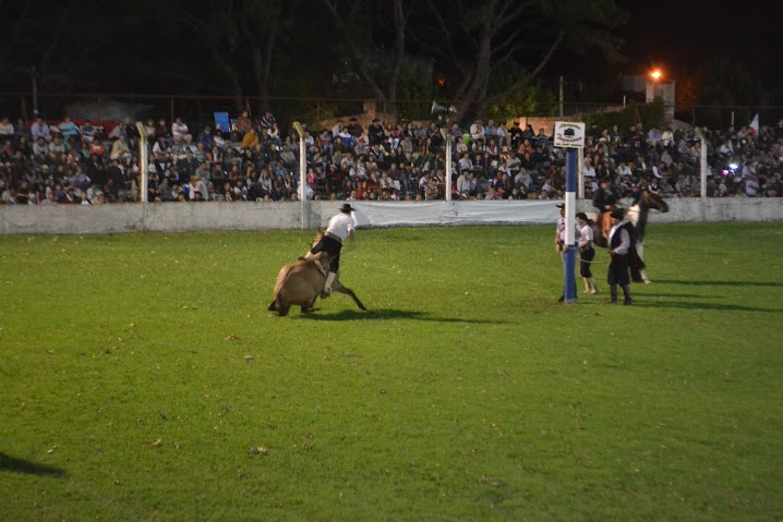 Excelente convocatoria de pblico en Noches Camperas