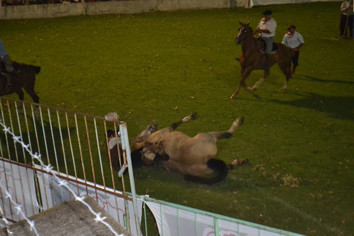 Excelente convocatoria de pblico en Noches Camperas