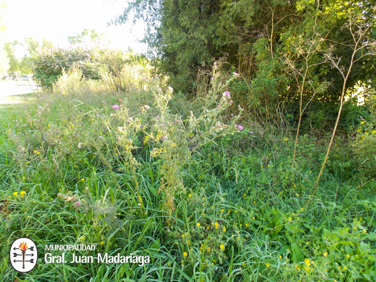 Defensa Civil recorri terrenos baldos abandonados y con basura