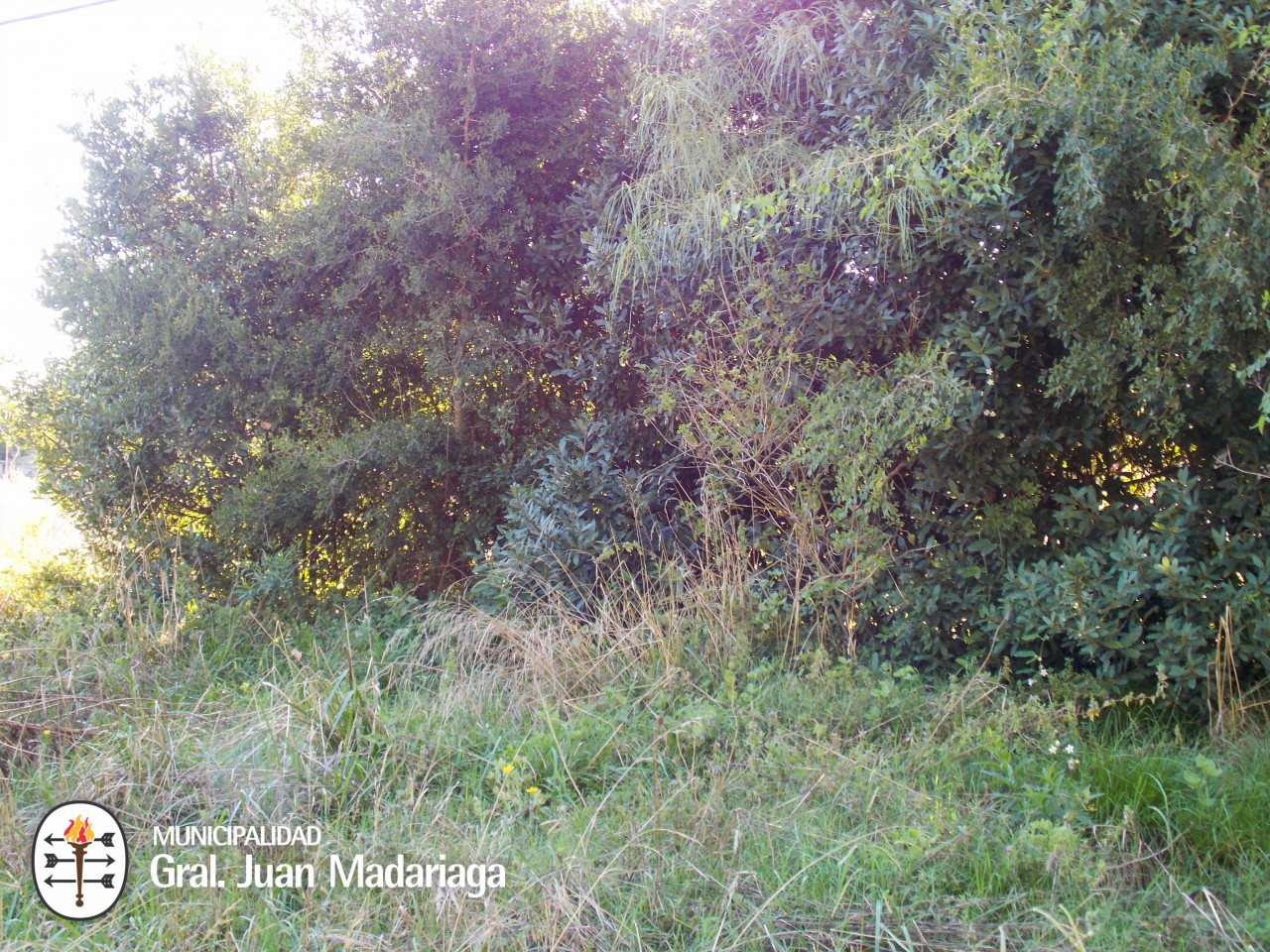 Defensa Civil recorri terrenos baldos abandonados y con basura