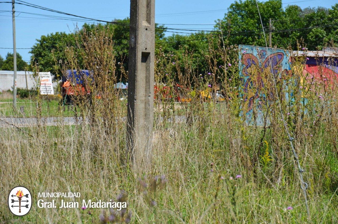 Defensa Civil recorri terrenos baldos abandonados y con basura