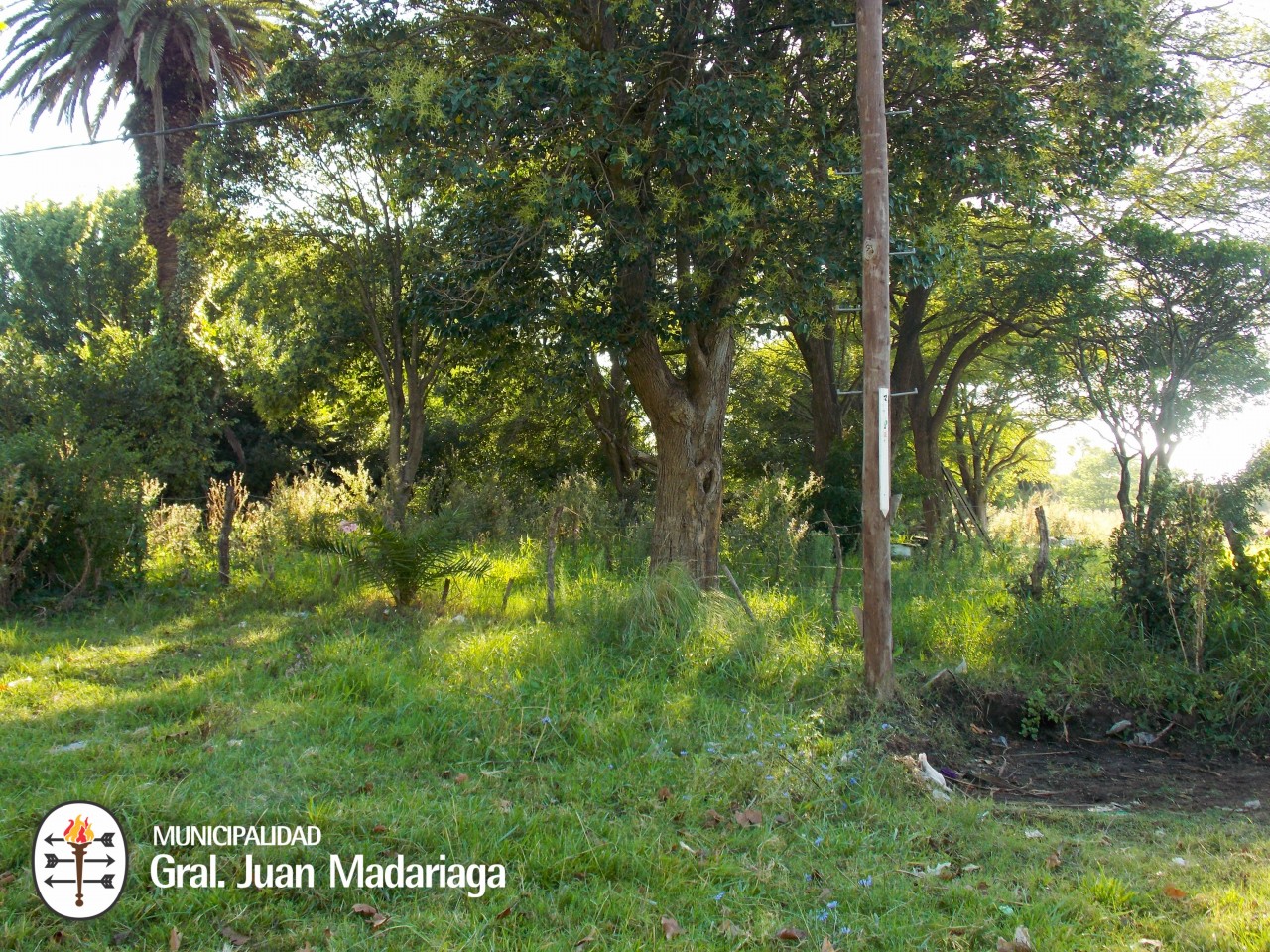 Defensa Civil recorri terrenos baldos abandonados y con basura