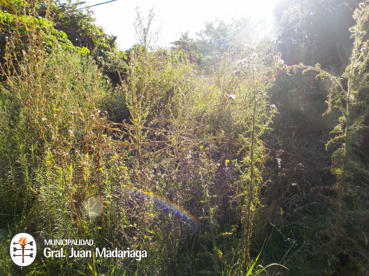 Defensa Civil recorri terrenos baldos abandonados y con basura