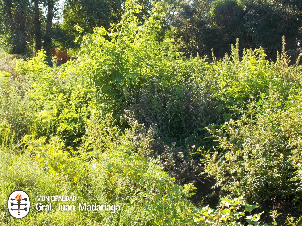Defensa Civil recorri terrenos baldos abandonados y con basura