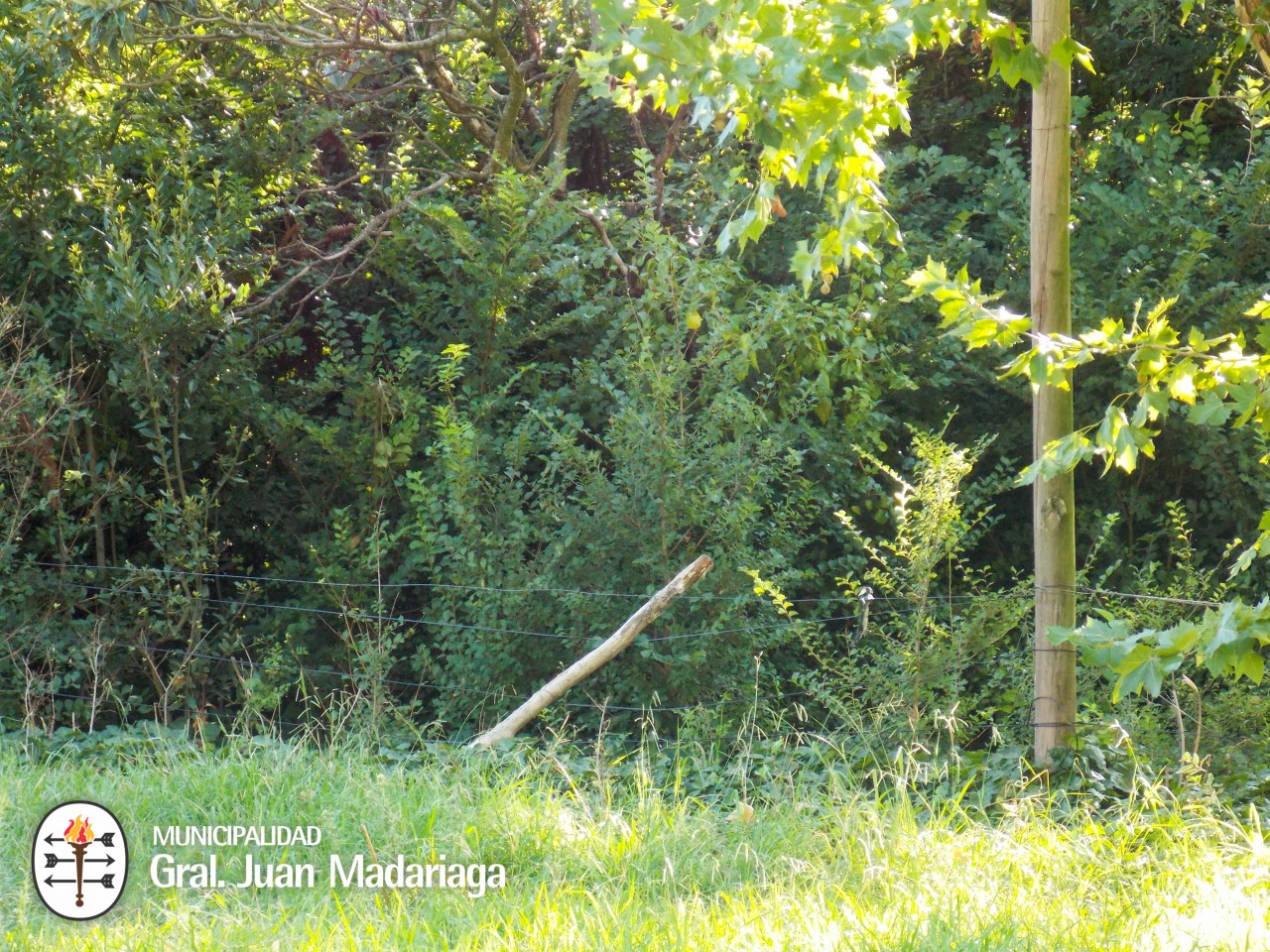 Defensa Civil recorri terrenos baldos abandonados y con basura