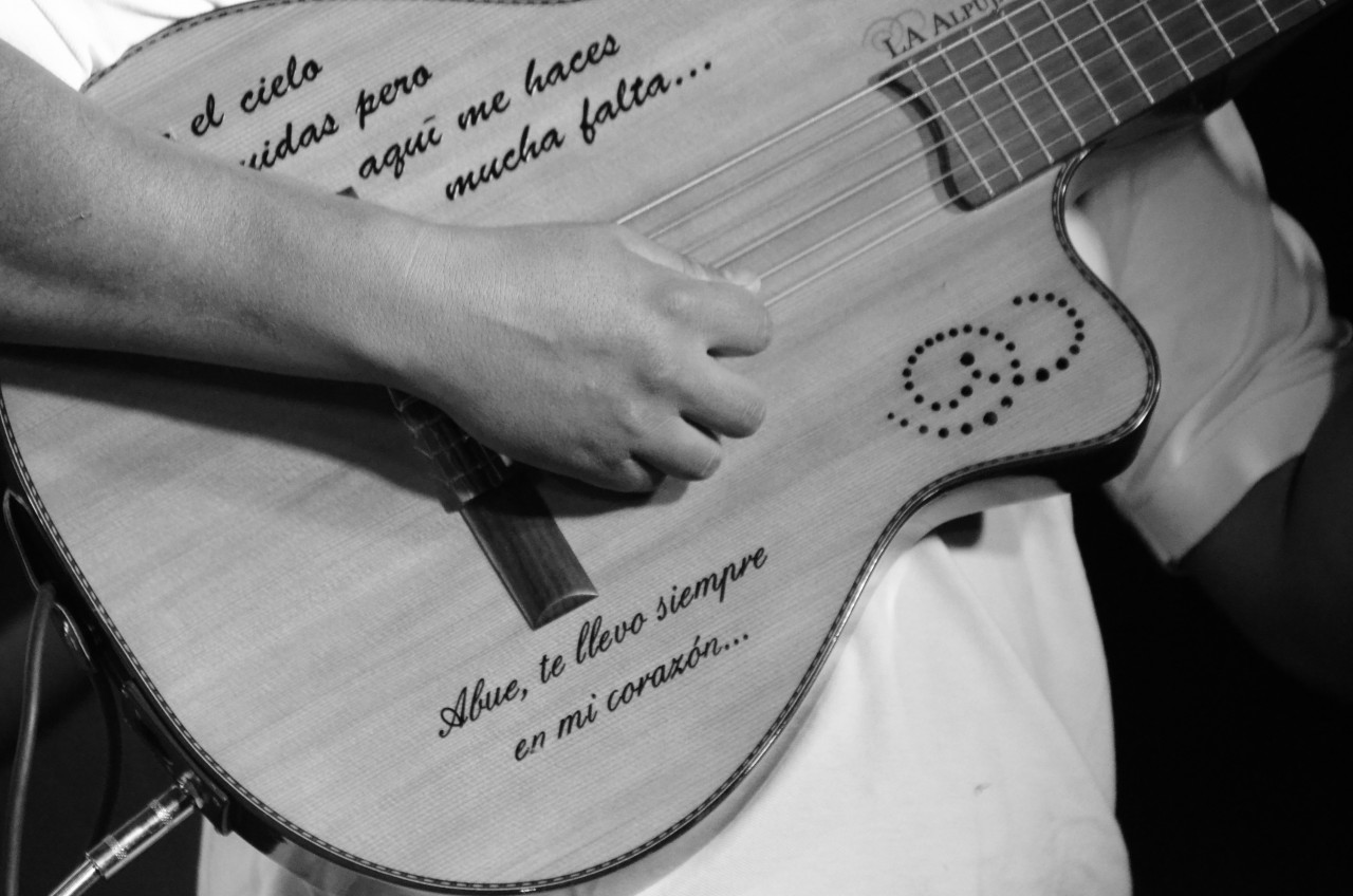 Folclore en los Barrios brill� en el Belgrano