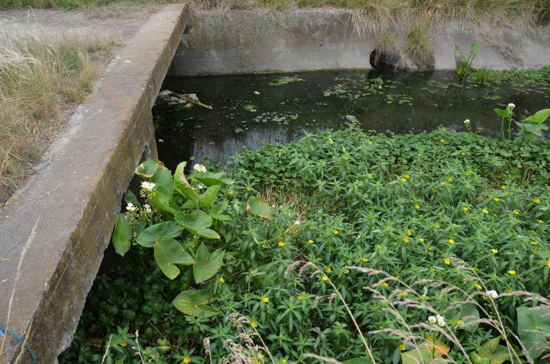 Canales a cielo abierto: un antes y un despus