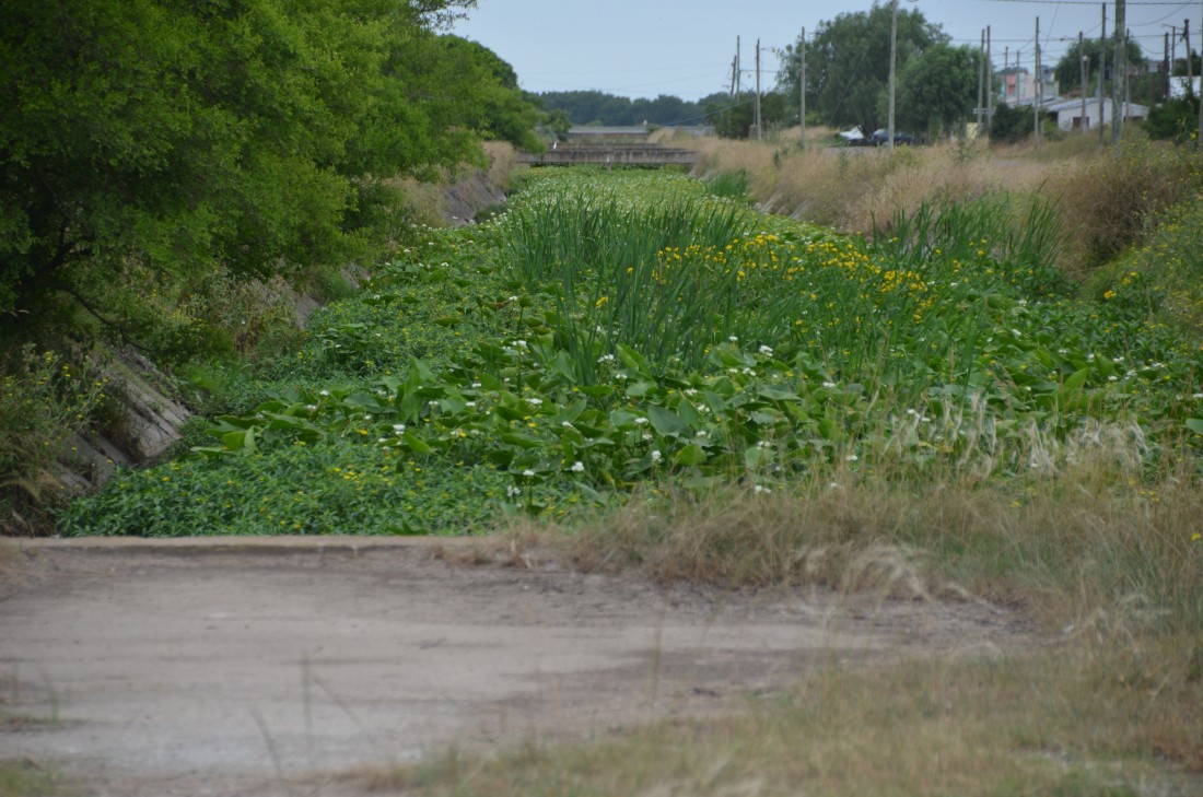 Canales a cielo abierto: un antes y un despus