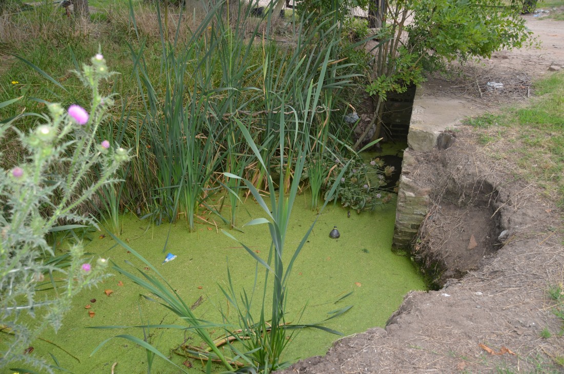 Canales a cielo abierto: un antes y un despus
