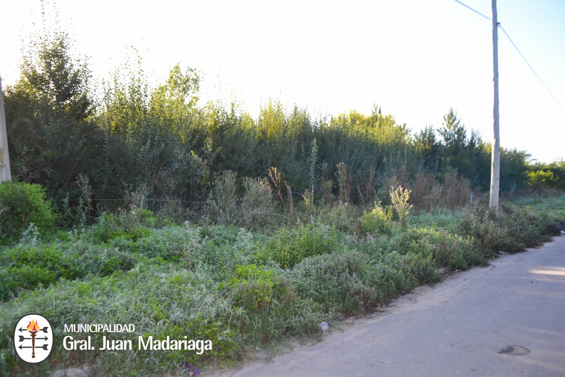 Más de 30 vecinos fueron intimados a limpiar sus terrenos baldíos