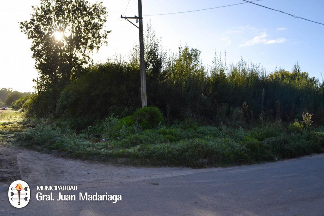 Más de 30 vecinos fueron intimados a limpiar sus terrenos baldíos