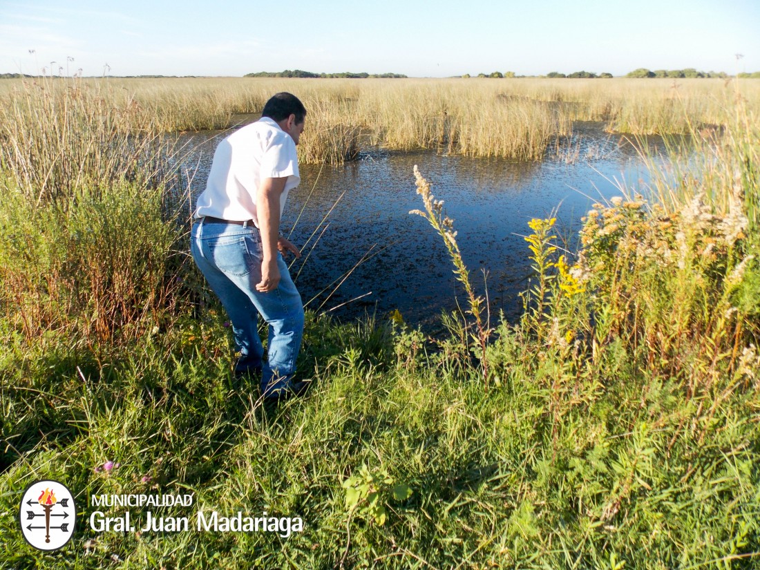 Contin�an los trabajos para optimizar el escurrimiento del agua�