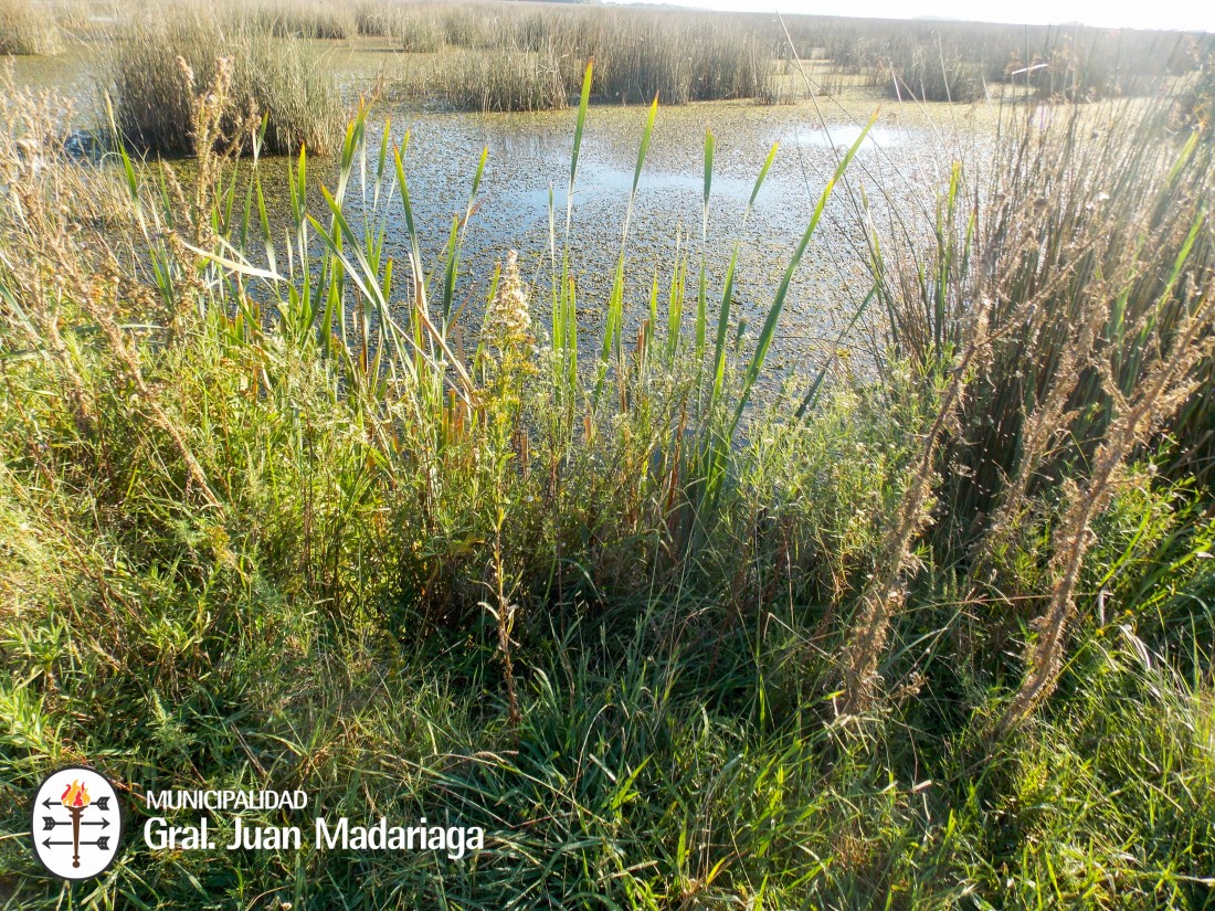 Contin�an los trabajos para optimizar el escurrimiento del agua�