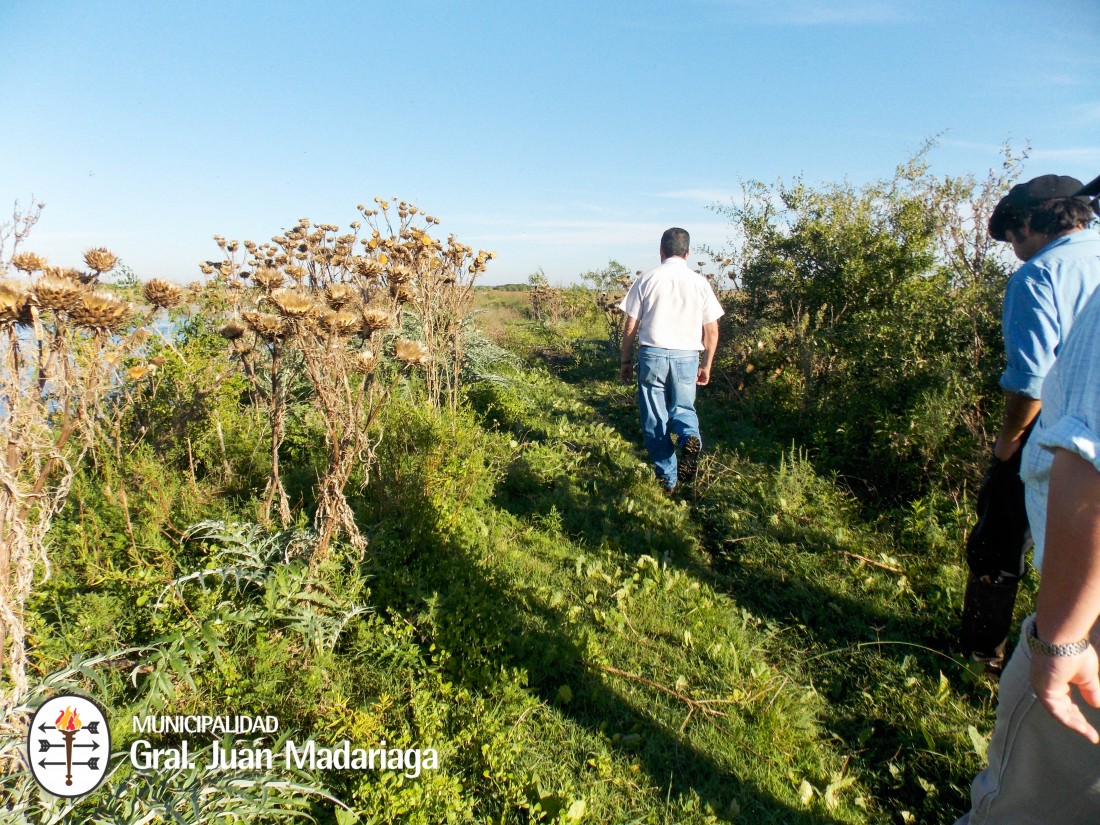 Contin�an los trabajos para optimizar el escurrimiento del agua�