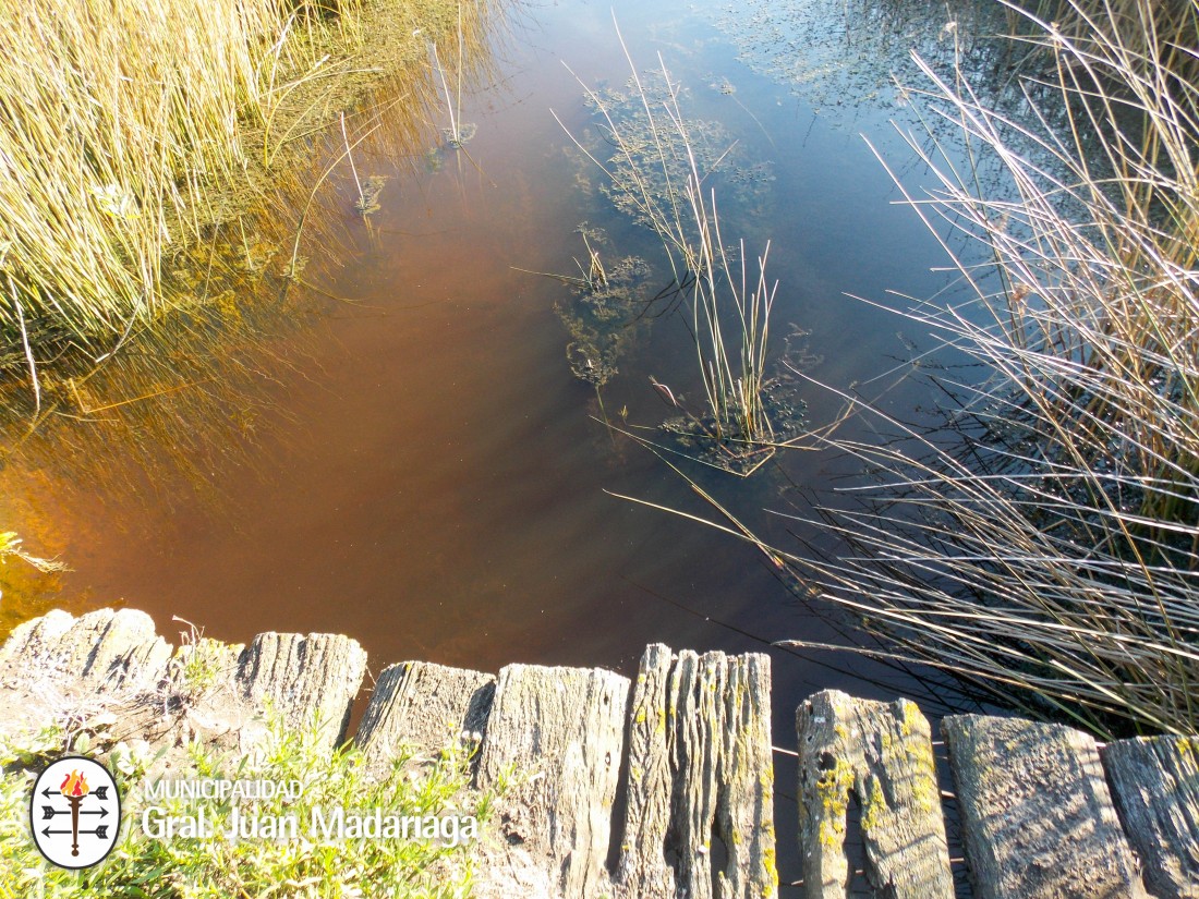 Contin�an los trabajos para optimizar el escurrimiento del agua�