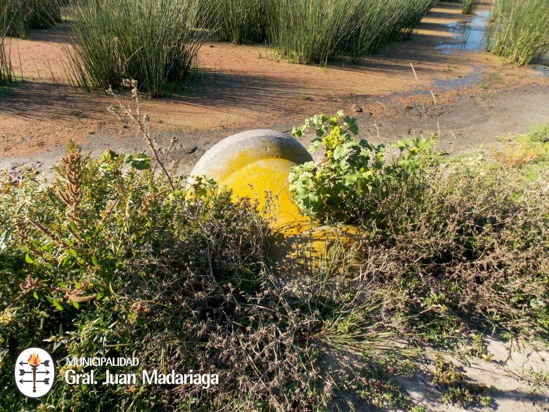 Contin�an los trabajos para optimizar el escurrimiento del agua�