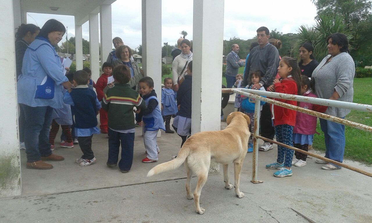 D�a Mundial de la Actividad F�sica