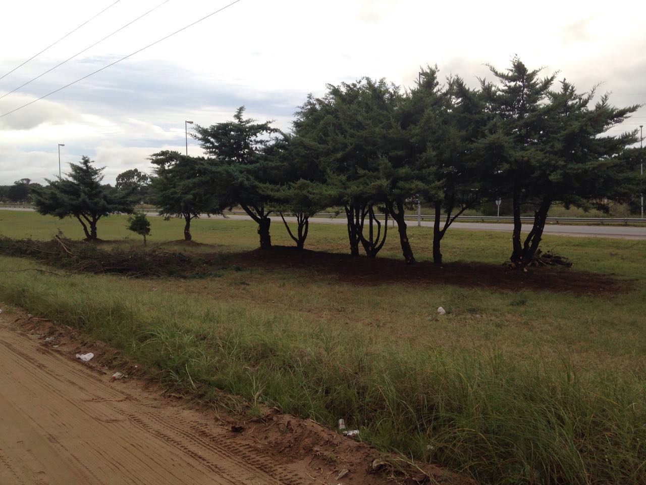 Se colocaron sealticas de trnsito en la colectora del frente de rut