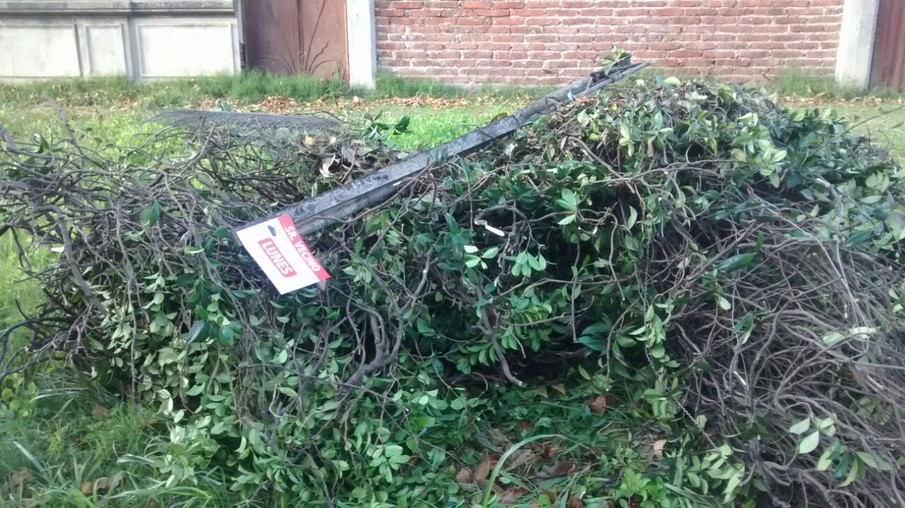 Notificaron a vecinos en infraccin