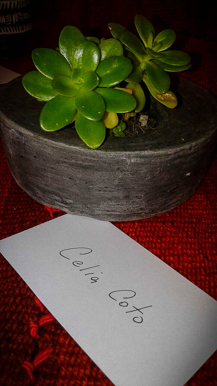 Qued inaugurada la muestra del taller Cermica del Tuy