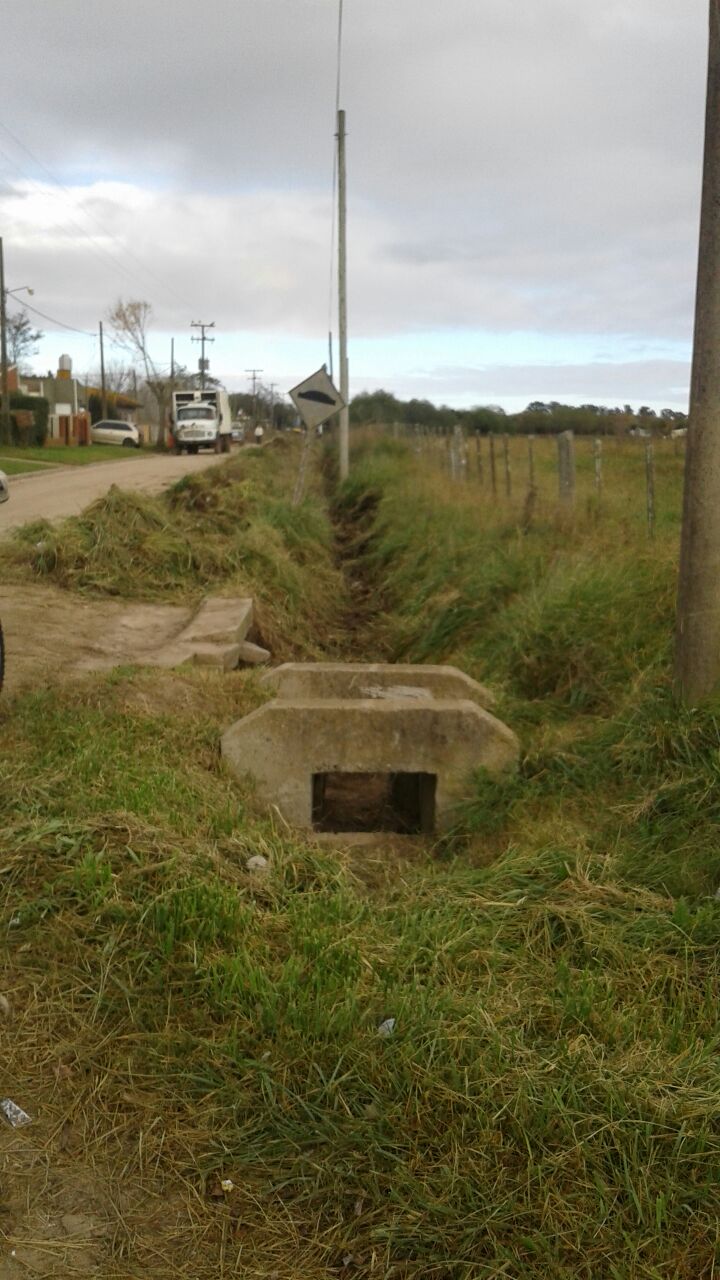Realizan tareas integrales de mantenimiento en el barrio Solidaridad