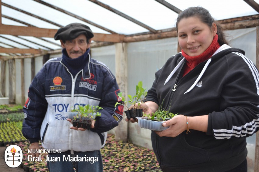 Se entregaron los plantines del proyecto Sembrar para crecer