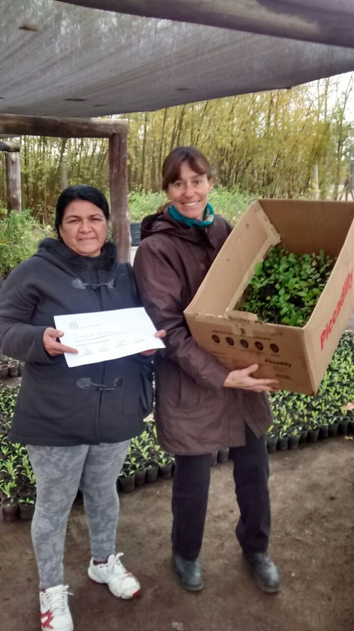 Se entregaron los plantines del proyecto Sembrar para crecer