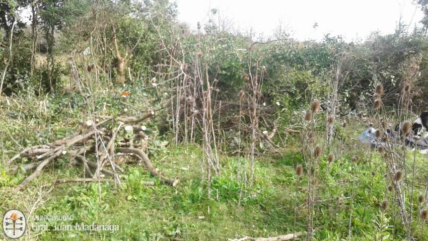 Trabajos de mantenimiento en distintos puntos de la ciudad